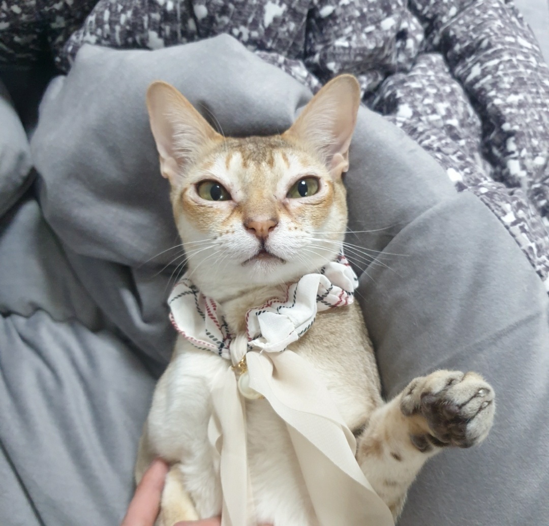 동대문구청_411305202400427